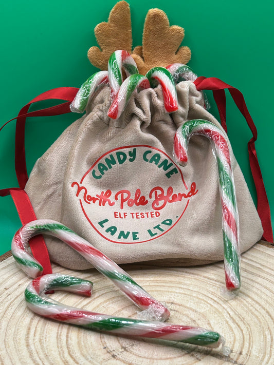 Candy Cane Reindeer Bag
